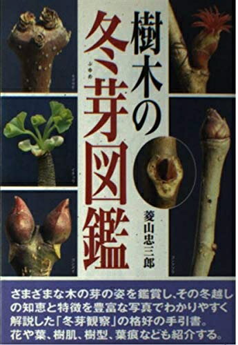 【中古】 樹木の冬芽図鑑