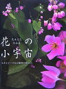 【中古】 荒木克己作品集 花の小宇宙 スキャナーで見る植物の創造力