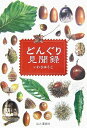 【中古】 どんぐり見聞録