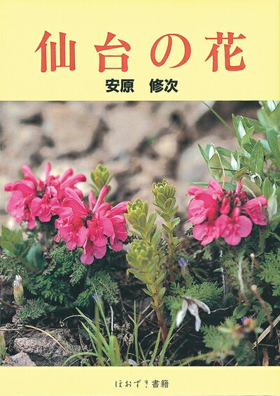 【中古】 仙台の花