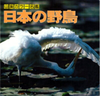 【お届け日について】お届け日の"指定なし"で、記載の最短日より早くお届けできる場合が多いです。お品物をなるべく早くお受け取りしたい場合は、お届け日を"指定なし"にてご注文ください。お届け日をご指定頂いた場合、ご注文後の変更はできかねます。【要注意事項】掲載されておりますお写真画像は全てイメージとなり、お送りするものを保証するものではございませんので、必ず下記事項を一読ください。【お品物お届けまでの流れについて】・ご注文：24時間365日受け付けております。・ご注文の確認と入金：入金*が完了いたしましたらお品物の手配をさせていただきます・お届け：商品ページにございます最短お届け日数±3日前後でのお届けとなります。*前払いやお支払いが遅れた場合は入金確認後配送手配となります、ご理解くださいますようお願いいたします。【中古品の不良対応について】・お品物に不具合がある場合、到着より7日間は返品交換対応*を承ります。初期不良がございましたら、購入履歴の「ショップへお問い合わせ」より不具合内容を添えてご連絡ください。*代替え品のご提案ができない場合ご返金となりますので、ご了承ください。・お品物販売前に動作確認をしておりますが、中古品という特性上配送時に問題が起こる可能性もございます。お手数おかけいたしますが、お品物ご到着後お早めにご確認をお願い申し上げます。【在庫切れ等について】弊社は他モールと併売を行っている兼ね合いで、在庫反映システムの処理が遅れてしまい在庫のない商品が販売中となっている場合がございます。完売していた場合はメールにてご連絡いただきますの絵、ご了承ください。【重要】・当社中古品は、製品を利用する上で問題のないものを取り扱っておりますので、ご安心して、ご購入いただければ幸いです。・商品の画像及びシリアルナンバーを弊社の方で控えておりますので、すり替え・模造品対策店舗として安心してお買い求めください。・中古本の特性上【ヤケ、破れ、折れ、メモ書き、匂い、レンタル落ち】等がある場合がございます。・レンタル落ちの場合、タグ等が張り付いている場合がございますが、使用する上で問題があるものではございません。・商品名に【付属、特典、○○付き、ダウンロードコード】等の記載があっても中古品の場合は基本的にこれらは付属致しません。下記はメーカーインフォになりますため、保証等の記載がある場合や、付属品詳細の記載がある場合がございますが、こちらの製品は中古品ですのでメーカー保証の対象外となり、付属品に関しましても、製品の機能として損なわない付属品（保存袋、ストラップ...ect）は基本的には付属いたしません。かならずご理解いただいた上で、ご購入ください。日本の野鳥 (山渓カラー名鑑) (山溪カラー名鑑)