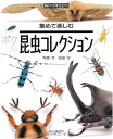 【中古】 昆虫コレクション―集めて楽しむ (森の休日) (森の休日 5)
