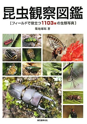 【中古】 昆虫観察図鑑: フィールドで役立つ1103種の生態写真