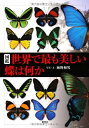 【中古】(新古品・未使用品) 図鑑 世界で最も美しい蝶は何か