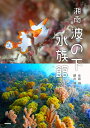 【中古】(新古品・未使用品) 湘南 波の下水族館