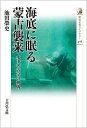 【中古】 海底に眠る蒙古襲来: 水中考古学の挑戦 (478) (歴史文化ライブラリー 478)