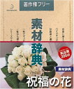 【中古】(新古品・未使用品) 素材辞典 Vol.110 祝福の花編