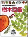 【中古】 樹木図鑑 (「知」のビジュアル百科 3)