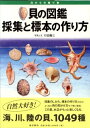 【中古】(新古品・未使用品) 貝の図鑑―採集と標本の作り方