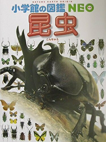 【中古】 小学館の図鑑NEO 昆虫 (小学館の図鑑・NEO 3)
