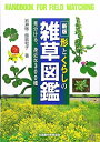 【中古】 新版 形とくらしの雑草図鑑: 見分ける、身近な300種 (野外観察ハンドブック)