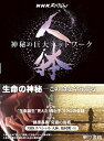 【中古】(新古品・未使用品) NHKスペシャル 人体 神秘の巨大ネットワーク 第4巻: 【第6集】 “生命誕生” 見えた!母と子 ミクロの会話/【第7集】“健康...