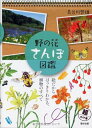 【中古】(新古品・未使用品) 野の花さんぽ図鑑