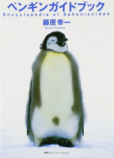 【中古】 ペンギンガイドブック