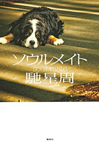 【中古】 ソウルメイト