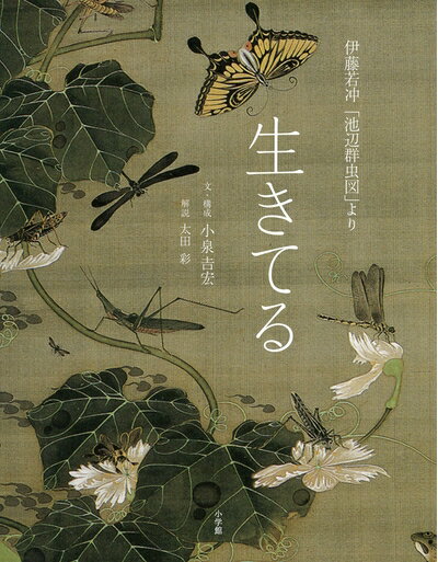 【中古】（新古品・未使用品） 伊藤若冲「池辺群虫図」より 生きてる