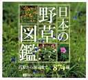 【中古】(新古品・未使用品) 日本の野草図鑑 高原から海辺まで874種