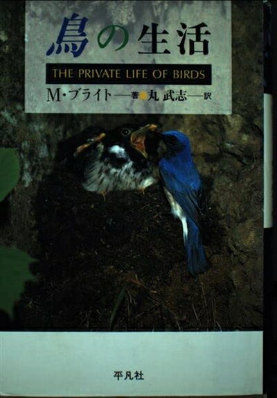 【中古】 鳥の生活