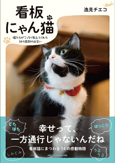 Nonfiction （JAPAN） - 【中古】 看板にゃん猫　−猫たちがこっそり教えてくれた14の奇跡の出会い−