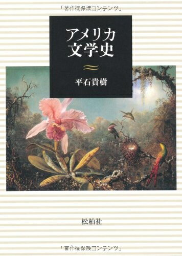 【中古】（新古品・未使用品） アメリカ文学史