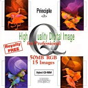 【中古】(新古品・未使用品) High Quality Digital Image Principle 2