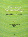 【中古】(新古品・未使用品) 皮膚科診療カラーアトラス大系 4