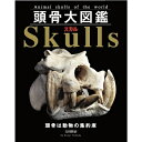【中古】(新古品・未使用品) 頭骨大図鑑 (オールカラー)