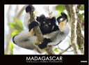 【中古】(新古品・未使用品) MADAGASCAR―マダガスカル