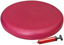 【中古】(新古品・未使用品) 秦運動具工業 HATAS(ハタス) バランスディスクポンプ付セット DK450P