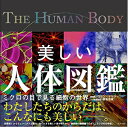 【中古】 美しい人体図鑑 (一般書)