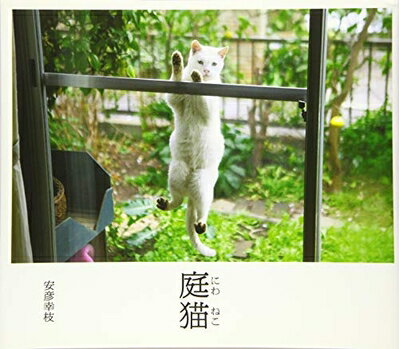 【中古】 庭猫