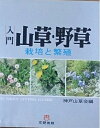【中古】 入門山草・野草―栽培と繁殖 (文研リビングガイド)