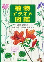 【中古】 植物イラスト図鑑