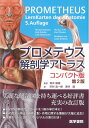 【中古】(新古品・未使用品) プロメテウス解剖学アトラス コンパクト版 第2版