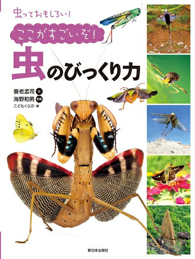 【中古】 ここがすごいぞ! 虫のびっくり力 (虫っておもしろい!)