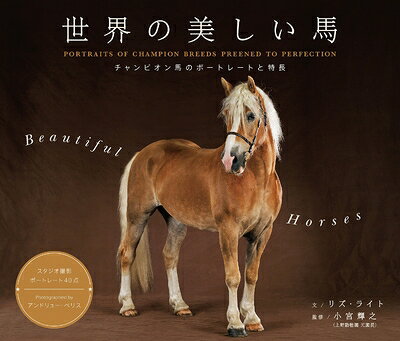 【中古】 世界の美しい馬 チャンピオン馬のポートレートと特長