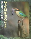 【中古】 ヤイロチョウ: 深い森でくらす妖精 (地球ふしぎはっけんシリーズ 3)