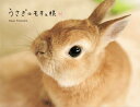 【中古】(新古品・未使用品) うさぎのモキュ様