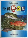 【中古】 島言語(クトゥバ)でわかる沖縄魚図鑑