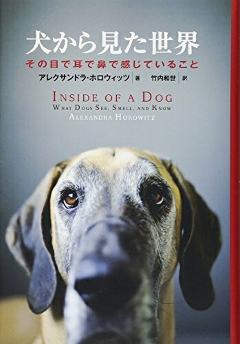 【中古】 犬から見た世界: その目で耳で鼻で感じていること
