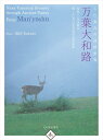 【中古】 入江泰吉の詩情世界 万葉大和路