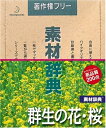 【中古】(新古品・未使用品) 素材辞典 Vol.20 群生の花・桜編