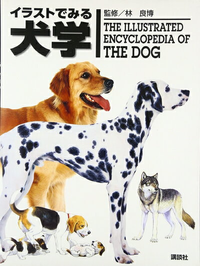 【中古】（新古品・未使用品） イラストでみる犬学 (KS農学専門書)