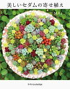 【中古】(新古品・未使用品) 美しいセダムの寄せ植え