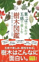 【中古】(新古品・未使用品) 葉っぱで見わけ五感で楽しむ 樹木図鑑