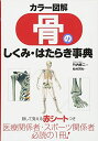 【中古】(新古品・未使用品) カラー図解骨のしくみ・はたらき事典