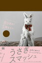 【中古】(新古品・未使用品) うさぎスマッシュ 世界に触れるアートとデザイン