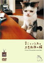 【中古】(新古品・未使用品) まこという名の不思議顔の猫(DVD)