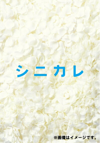 【お届け日について】お届け日の"指定なし"で、記載の最短日より早くお届けできる場合が多いです。お品物をなるべく早くお受け取りしたい場合は、お届け日を"指定なし"にてご注文ください。お届け日をご指定頂いた場合、ご注文後の変更はできかねます。【未開封・新古品について】こちらのお品物は、買取時に「未開封・未使用」と判断させていただいたお品物です。新品購入時と遜色ないお品物ではございますが、一度人の手に渡ったお品物として、「中古-新古品・未使用品」とさせていただいております。【要注意事項】掲載されておりますお写真画像は全てイメージとなります。こちらのお品物は、未開封のお品物を買い取りしたものですので、パッケージに同封されている特典類は基本付属致します。※各店舗限定の別梱包初回購入特典や早期予約特典は付属せず、期限付きシリアル等は期限の保証はできかねます。【お品物お届けまでの流れについて】・ご注文：24時間365日受け付けております。・ご注文の確認と入金：入金*が完了いたしましたらお品物の手配をさせていただきます・お届け：商品ページにございます最短お届け日数±3日前後でのお届けとなります。*前払いやお支払いが遅れた場合は入金確認後配送手配となります、ご理解くださいますようお願いいたします。【新古品の不良対応について】・お品物に不具合がある場合、到着より7日間は返品交換対応*を承ります。初期不良がございましたら、購入履歴の「ショップへお問い合わせ」より不具合内容を添えてご連絡ください。*代替え品のご提案ができない場合ご返金となりますので、ご了承ください。・未開封の新古品という特性上、動作確認ができておりません。お手数おかけいたしますが、お品物ご到着後お早めにご確認をお願い申し上げます。【在庫切れ等について】弊社は他モールと併売を行っている兼ね合いで、在庫反映システムの処理が遅れてしまい在庫のない商品が販売中となっている場合がございます。完売していた場合はメールにてご連絡いただきますので、ご了承ください。【重要】・商品の画像及びシリアルナンバーを弊社の方で控えておりますので、すり替え・模造品対策店舗として安心してお買い求めください。・未開封、未使用品となります。・限定版特典や、通常付属する同封物特典はございますが、各店舗毎の初回購入特典,予約特典などの「別梱包特典類」や、期限付きシリアルコードなどにつきましては、買取品の為、商品名にそれらの記載があっても基本的に付属いたしません。下記はメーカーインフォになりますため、保証等の記載がある場合や、付属品詳細の記載がある場合がございますが、こちらの製品は中古品ですのでメーカー保証の対象外となります。かならずご理解いただいた上で、ご購入ください。シニカレ完全版 ブルーレイBOX [Blu-ray]