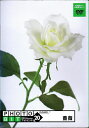 【中古】(新古品・未使用品) Photobit 20 薔薇